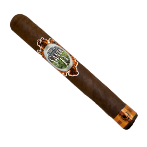 A Cordoba and Morales cigar with a dark, rich wrapper and a vibrant green and gold label.